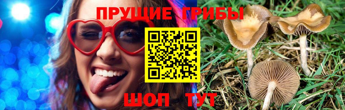 Галлюциногенные грибы MAGIC MUSHROOMS  Вход с VPN  Орехово-Зуево 